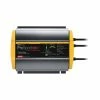 ProMariner Prosport HD 12V 12A 2 Bank